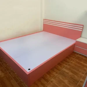 Giường Ngủ đơn cho bé gái màu hồng nhựa Vincoplast GVP11