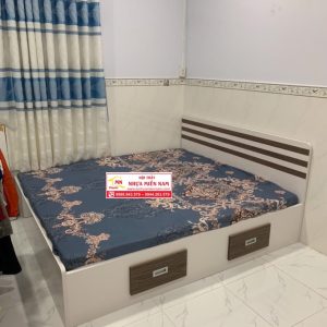 Giường ngủ nhựa Đài Loan Chinhuei hiện đại HĐ-GCH23