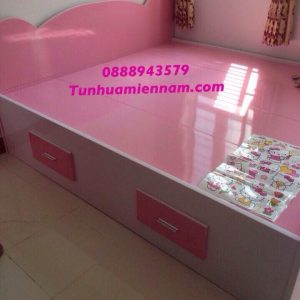 Giường ngủ nhựa Đài Loan Chinhuei hiện đại HĐ-GCH36