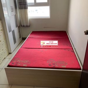 Giường ngủ nhựa Đài Loan Chinhuei hiện đại HĐ-GCH49