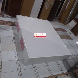 Giường ngủ nhựa Đài Loan Chinhuei hiện đại HĐ-GCH45