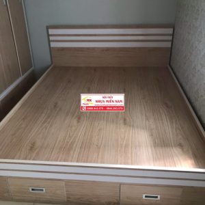 Giường ngủ nhựa Đài Loan Chinhuei hiện đại HĐ-GCH31