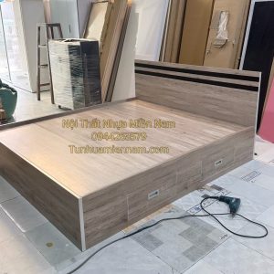 Giường ngủ nhựa Đài Loan Chinhuei hiện đại HĐ-GCH64